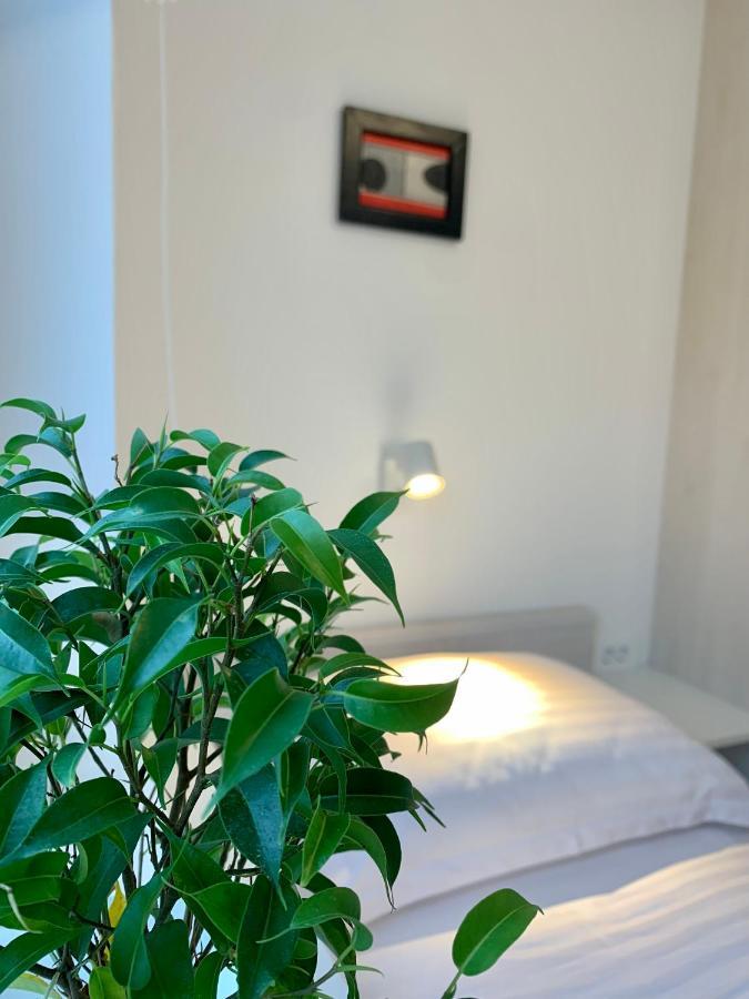Apartment Zen Sveta Nedjelja  Exteriör bild